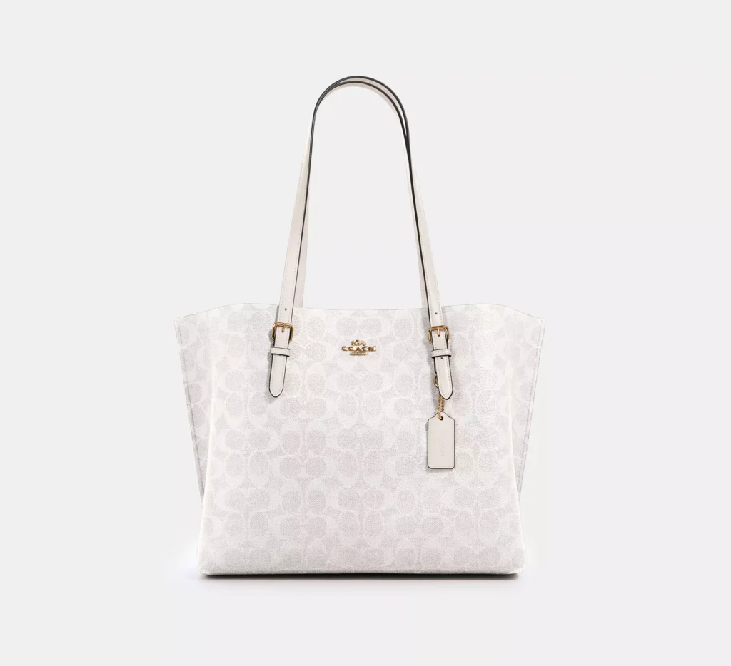 Chic and elegant women's bag.