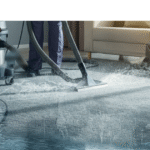 dry carpet