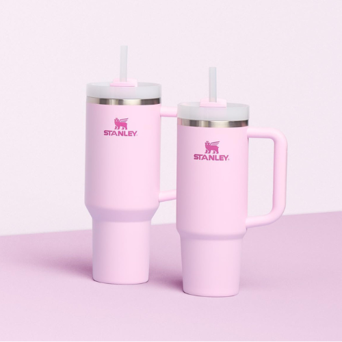 Stanley Water Bottle for Girls