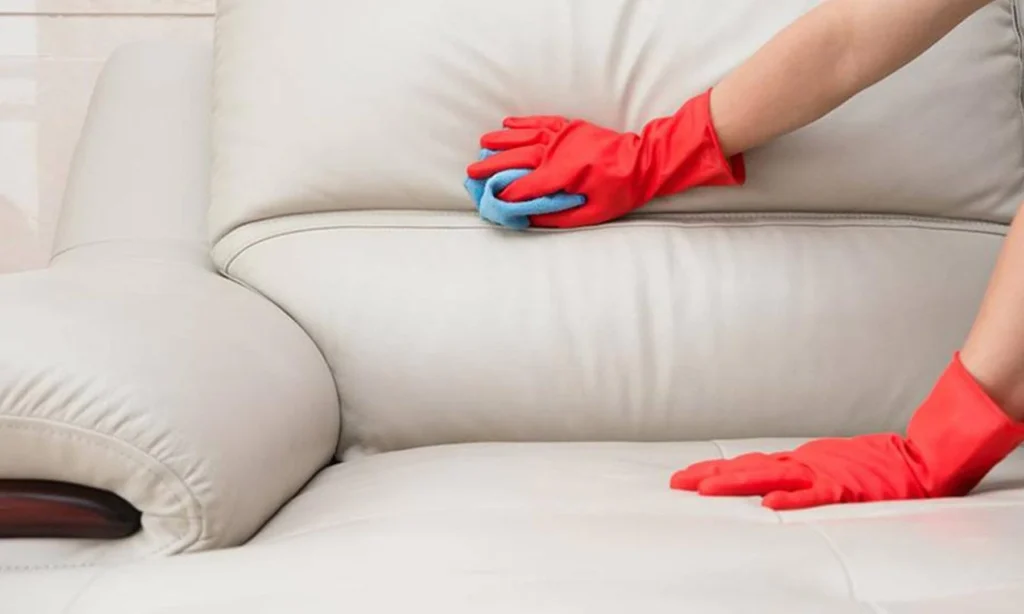 Step-by-Step Mold Removal Process